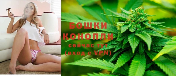 гидра Аркадак