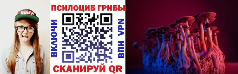 Псилоцибиновые грибы Psilocybe  Борисоглебск 
